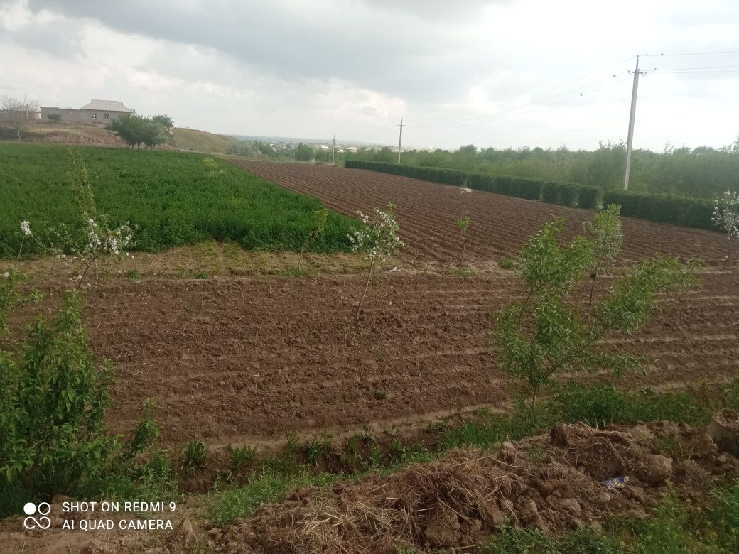 Surxondaryo viloyat bandixon tumani  narxi kelishiladi