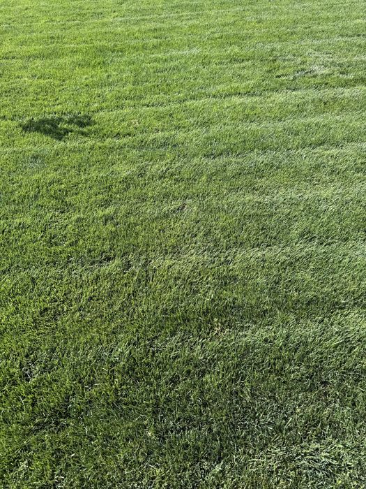 газон оптом нархда установка полив установка