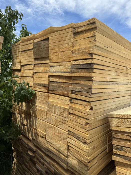 Cherestea Rasinoasa Molid si Lambriu