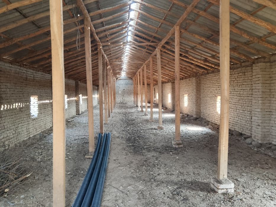 Урдак, куй,куён, бокиш учун