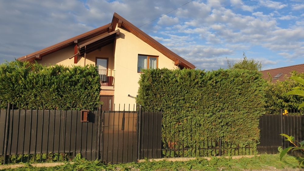 Prestări servicii tuns gazon,iarba,toaletare gard viu