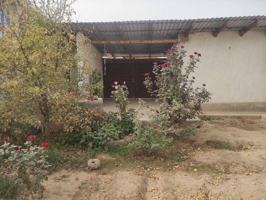 Katej tezda sotiladi!