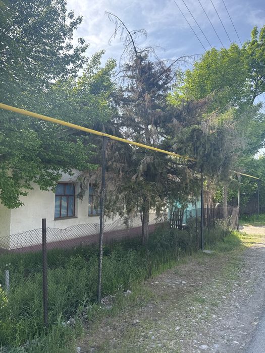 Продам дом частный дом в первомаевке