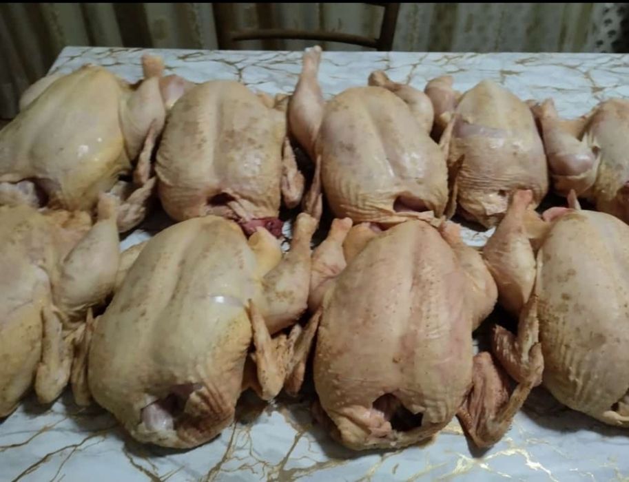 Продам Тушки кур бройлеров
