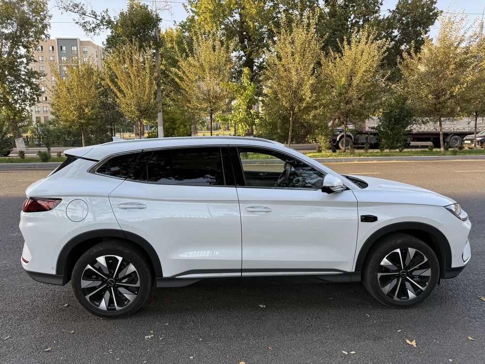 Byd chempion 605 smart 2025/2026 natariusga tayor