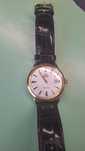 Orient bambino automatic