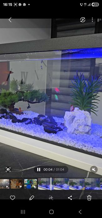 Acvariu din sticla Aguael 54litri