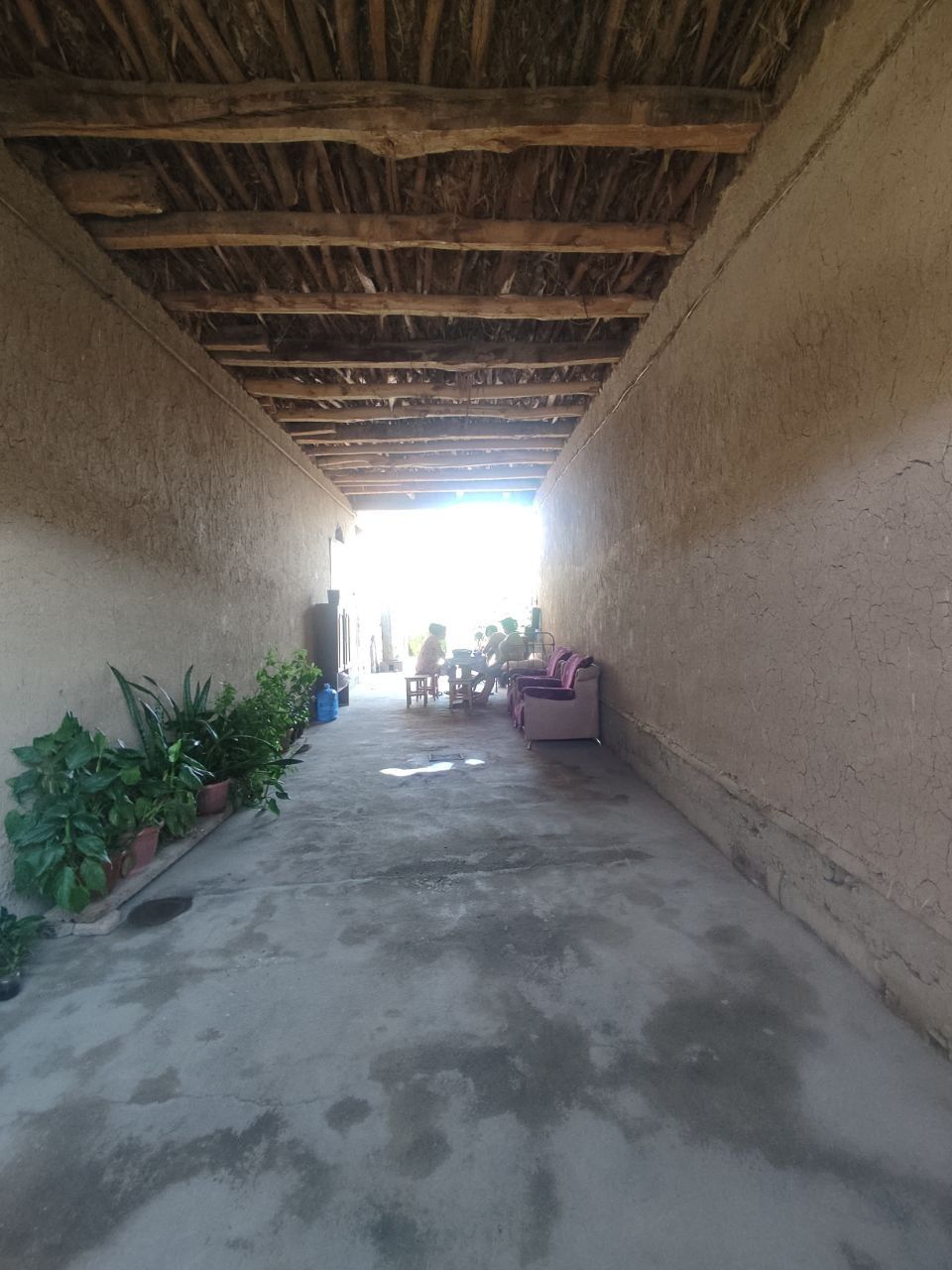 UY sotiladi mayiski shalola 8 sotok qoʻshimcha orqada yer dehqonchilik