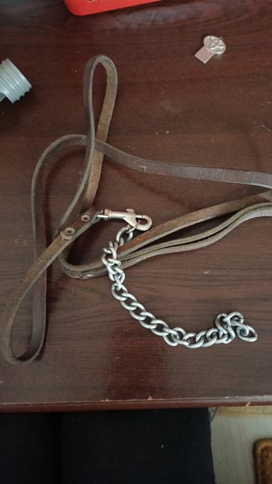 Продам поводок для небольшой собачки