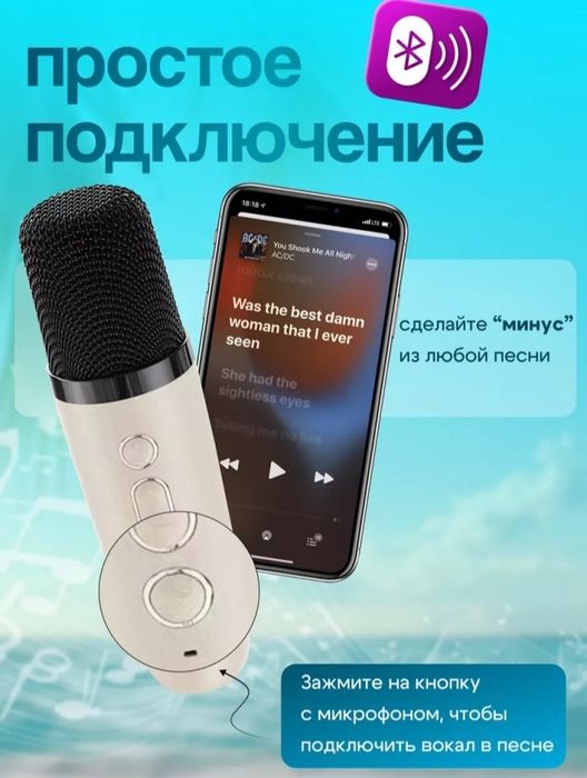 Колонка и микрофоны
