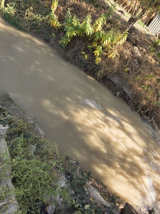 Қибрай тумани Бурота Ӯткир маҳалласида 8 сот. ер участкаси сотилади.