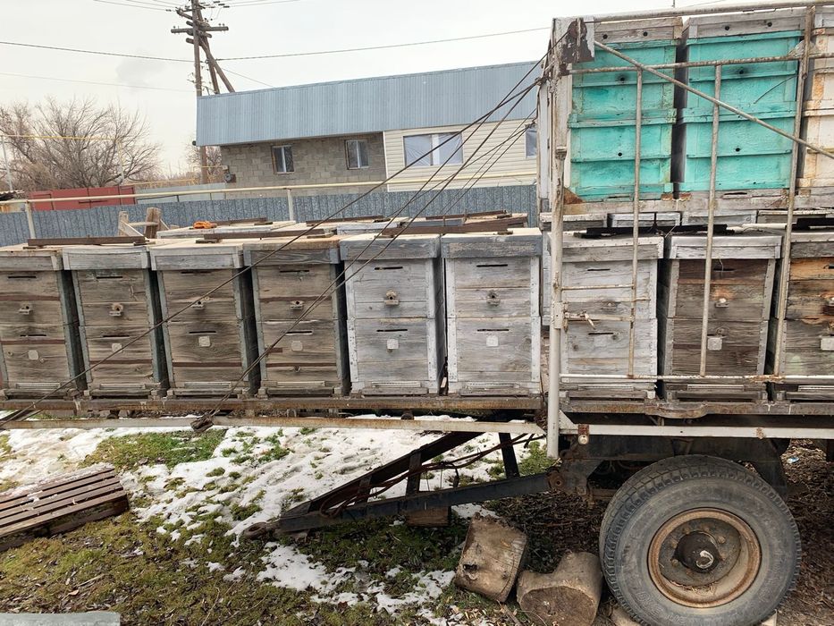 Продам пчёла прицеп