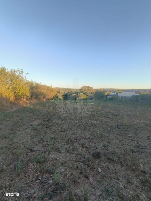 Teren Intravilan  Plopu//3000 Mp