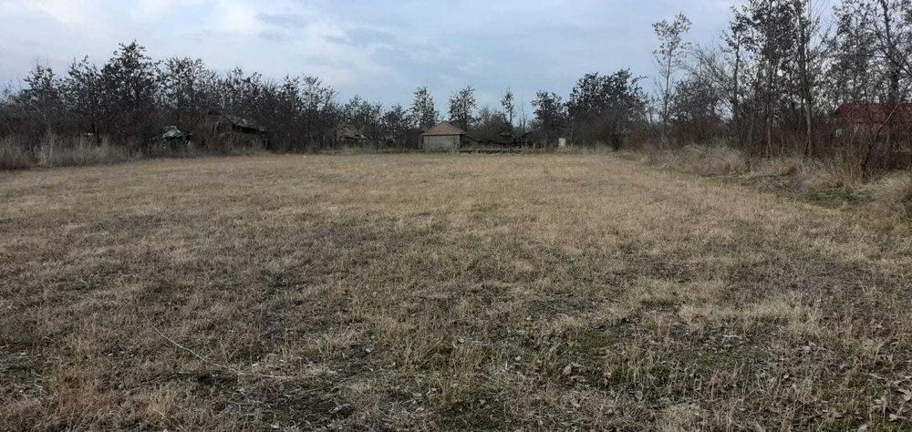 Vand teren intravilan 2600 mp 5 euro/mp