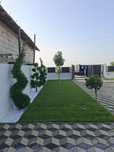 Amenajări grădini,gazon si plante ornamentale