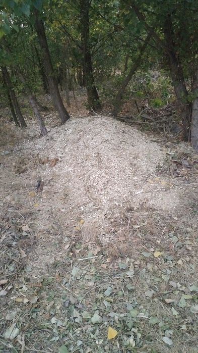 Defrisare/Împrejmuire teren/forez gauri pt pomi,/tocator crengi