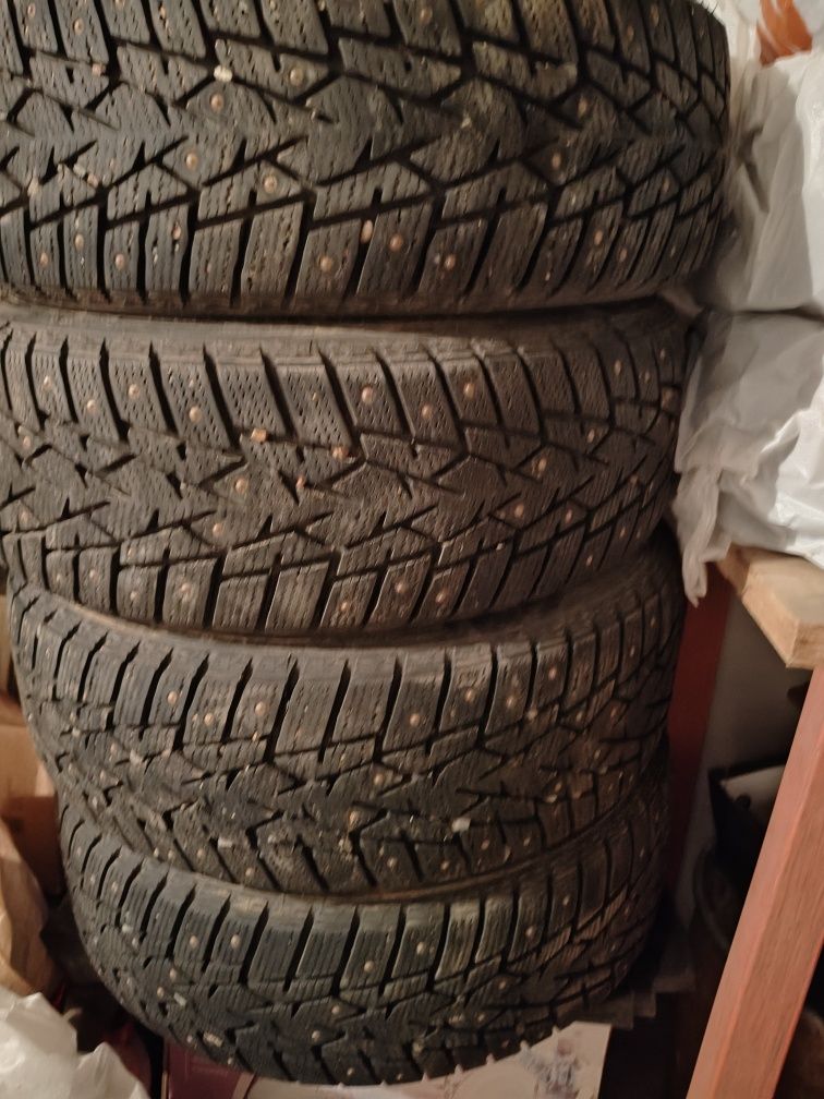 195/55 R16 зимние шины Double star Dw01