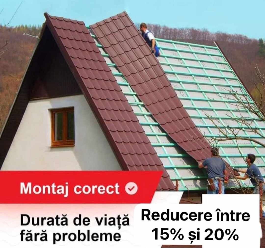 Reparații Acoperișuri/Executări Dulgheri/Montaj Tablă Bilka Terase