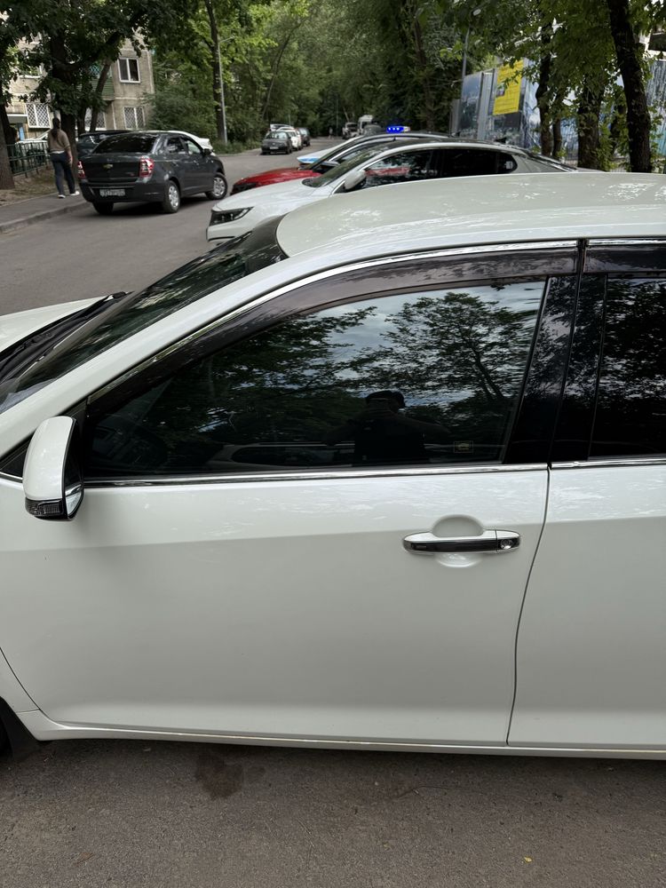 Автошторки оптом