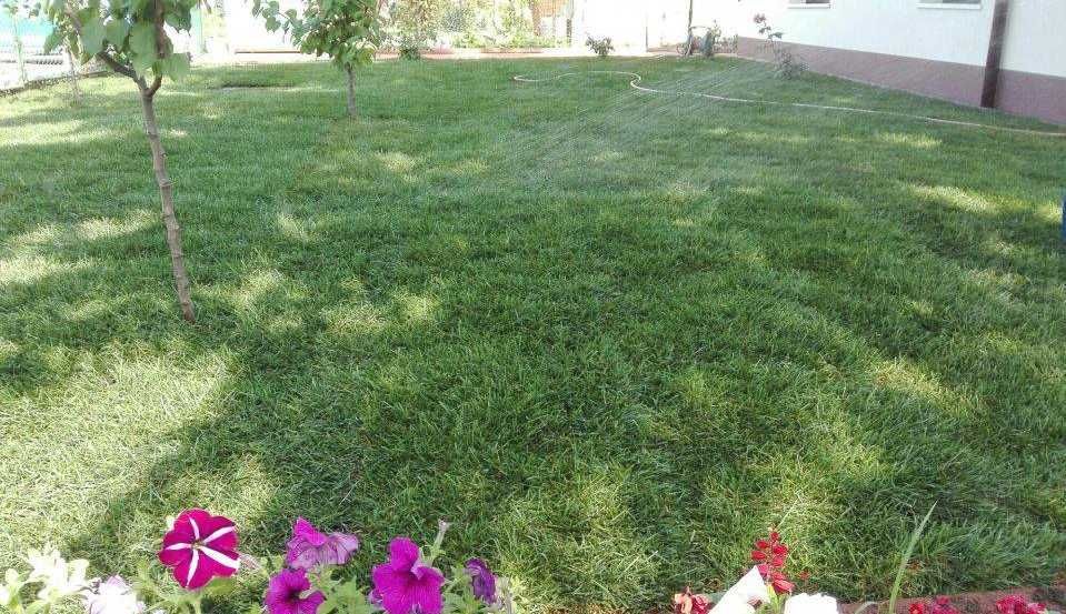 Gazon Rulou Sisteme de Irigare