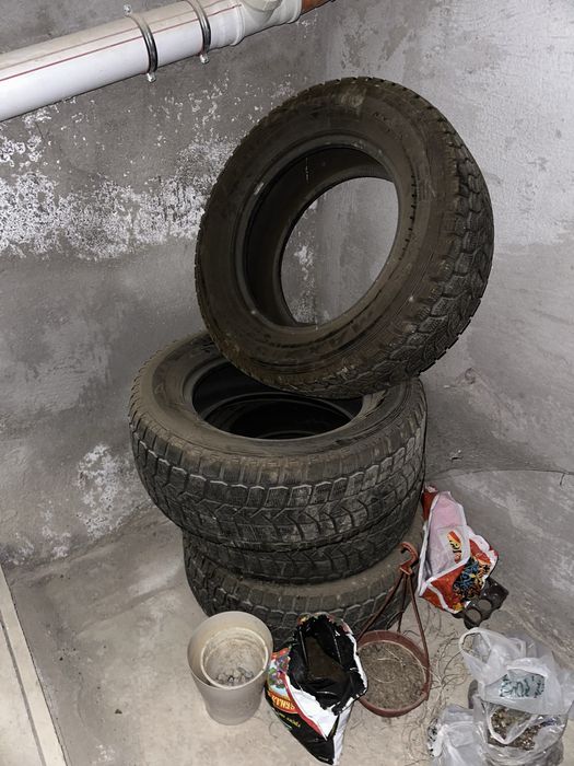 зимний шина 4шт land cruiser 200