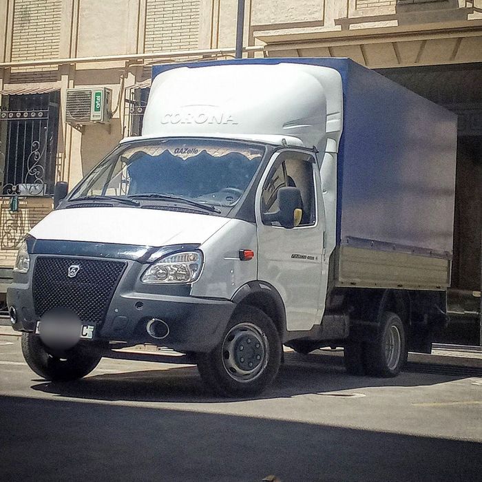 Gazel Sotiladi Bizznes