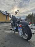 Harley Davidson xl1200v (seventytwo)  .