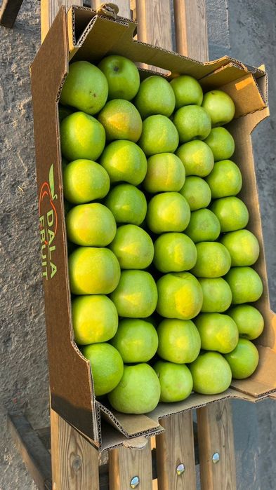 Яблоки Гренни Смит