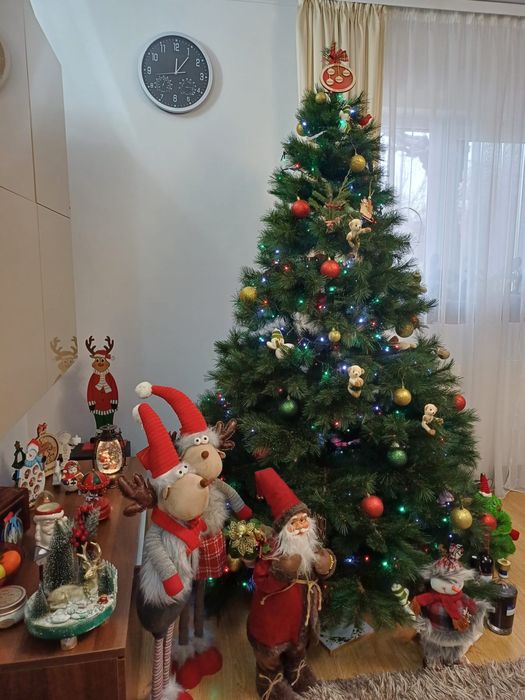 Brad artificial 2.10.  800 ron