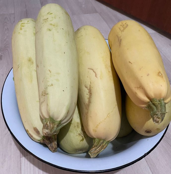 Кабачки свежий свежий