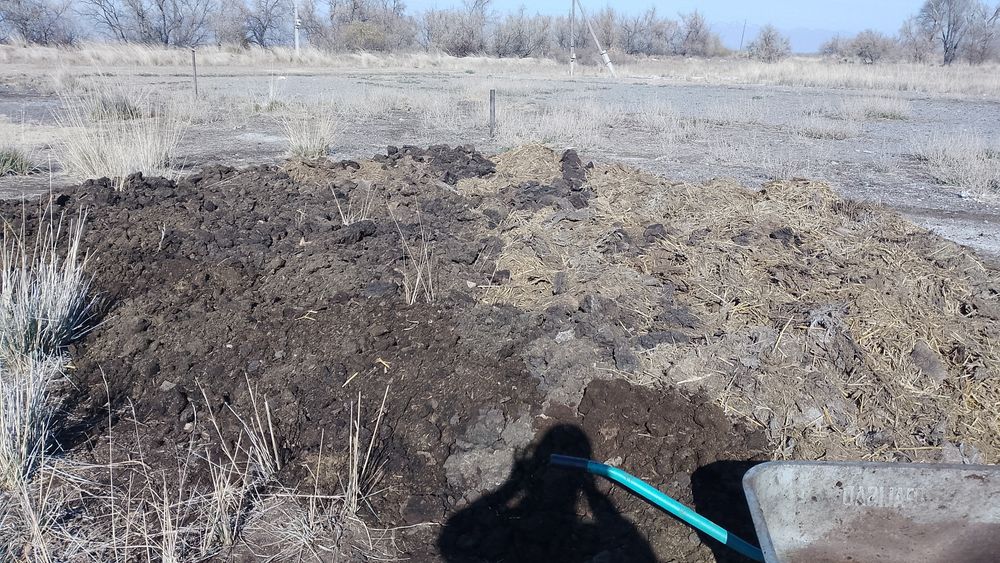 Удобрения для огорода