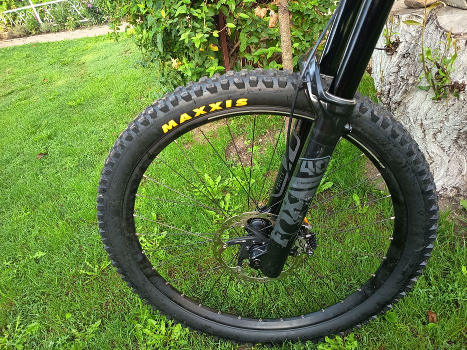 Schott gambler dowhil