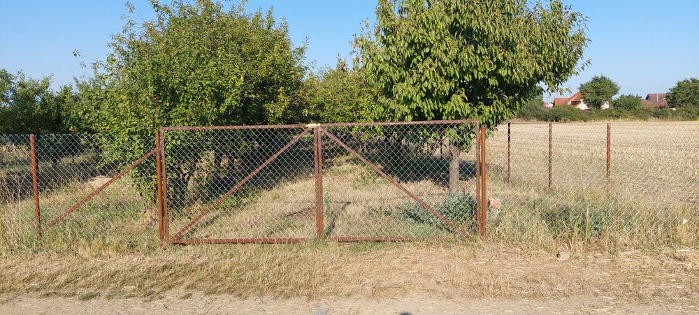 Teren intravilan in Sag jud.Timis