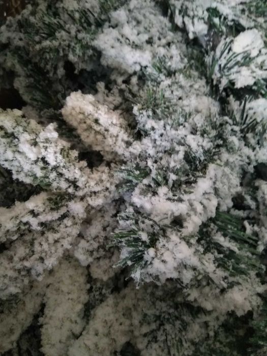 Красива коледна елха