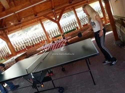 Vila Moieciu de Sus - 5 dormitoare -la cheie-