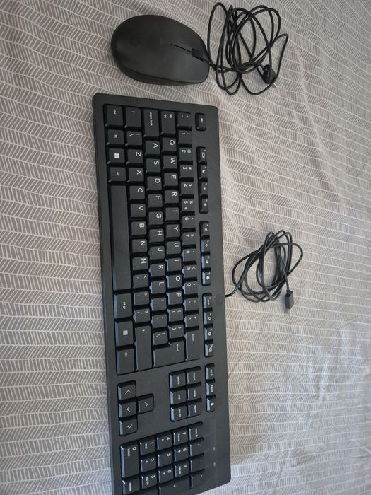 Kit tastatura si mouse Hp 125 cu fir