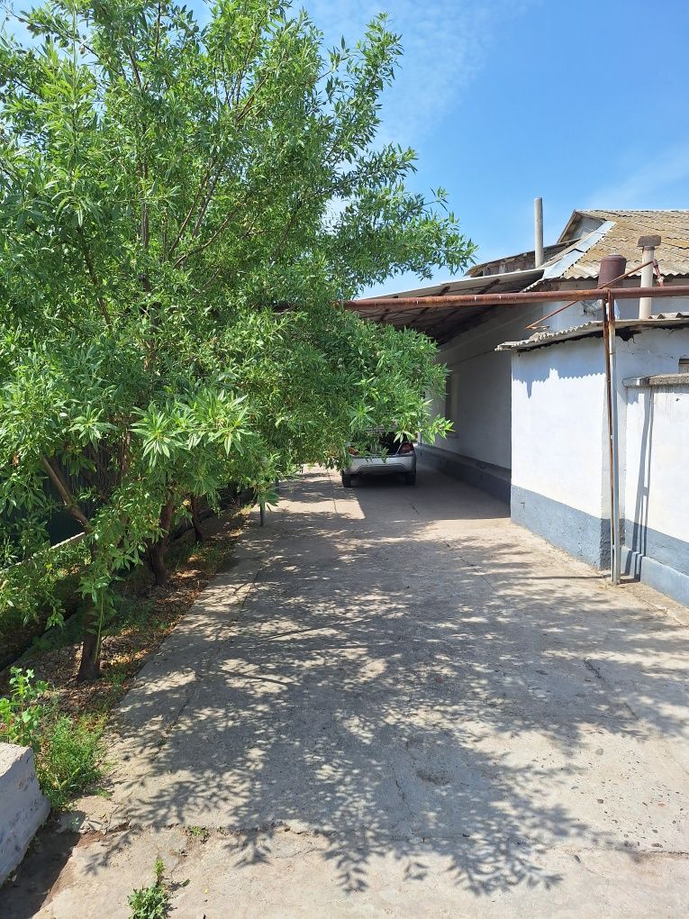 Uy Sotiladi 26 sotix Manzil Jumağul MFY Egizota 56