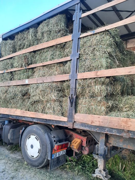 Vând baloti de lucernă.