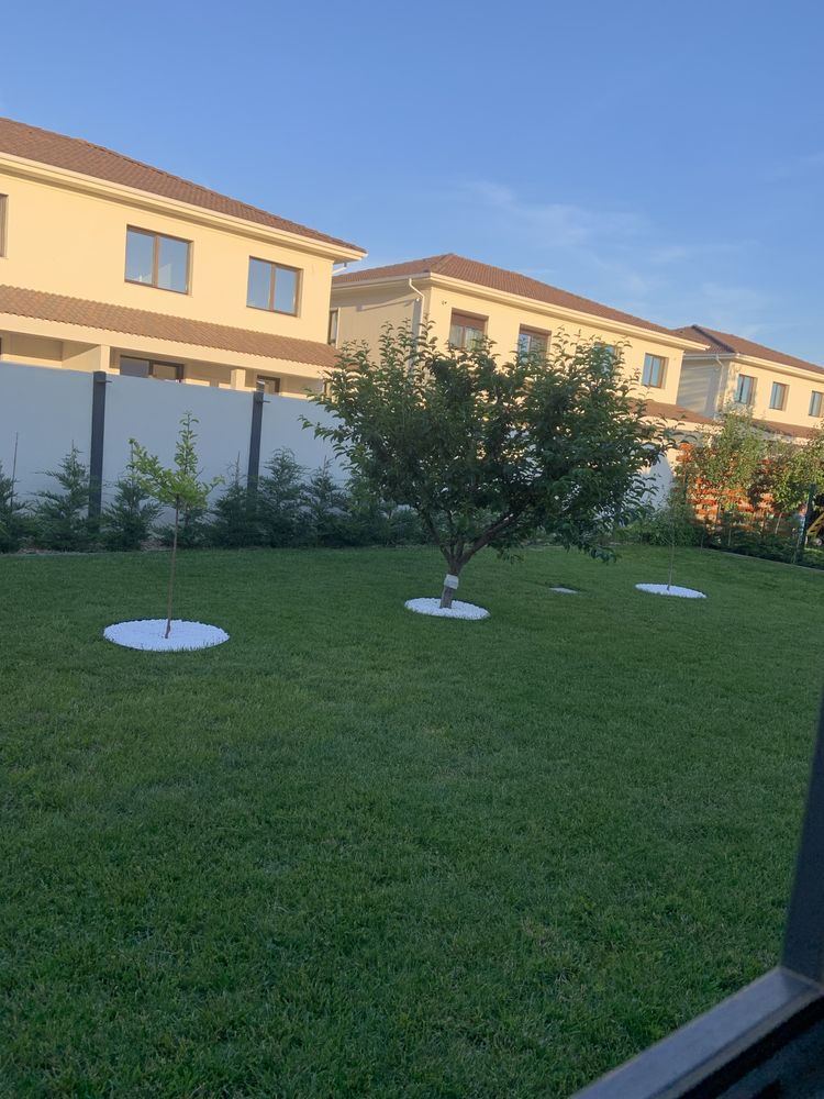 Casa individuala pe un singur nivel- Mosnita Noua, strada Sofia