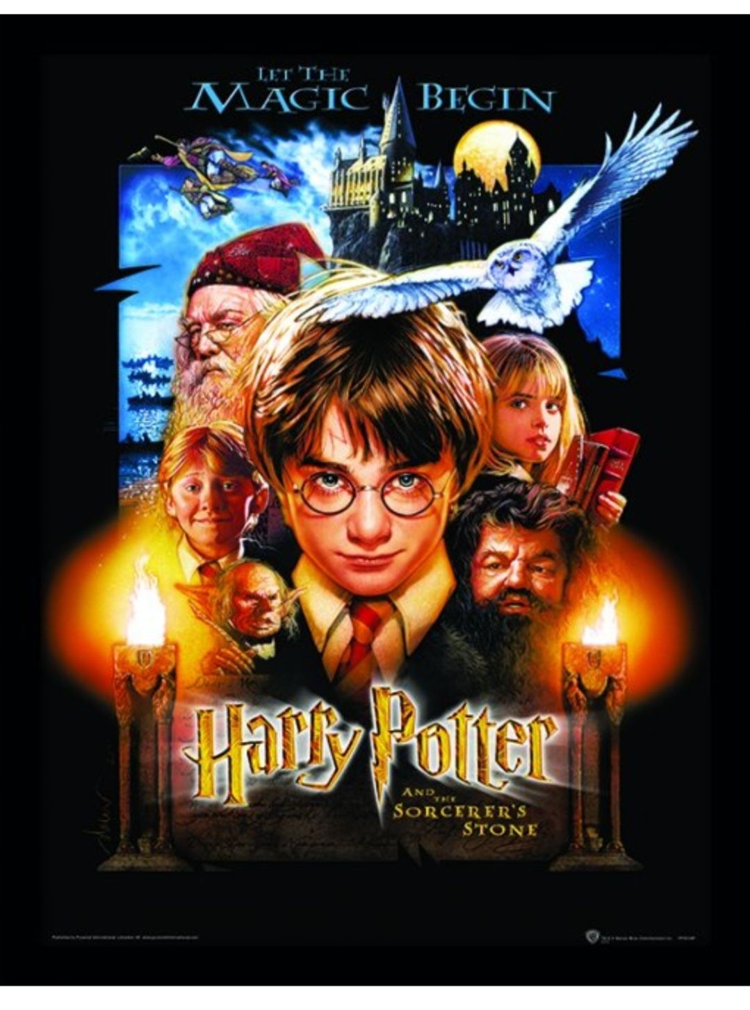 Tablou Harry Potter