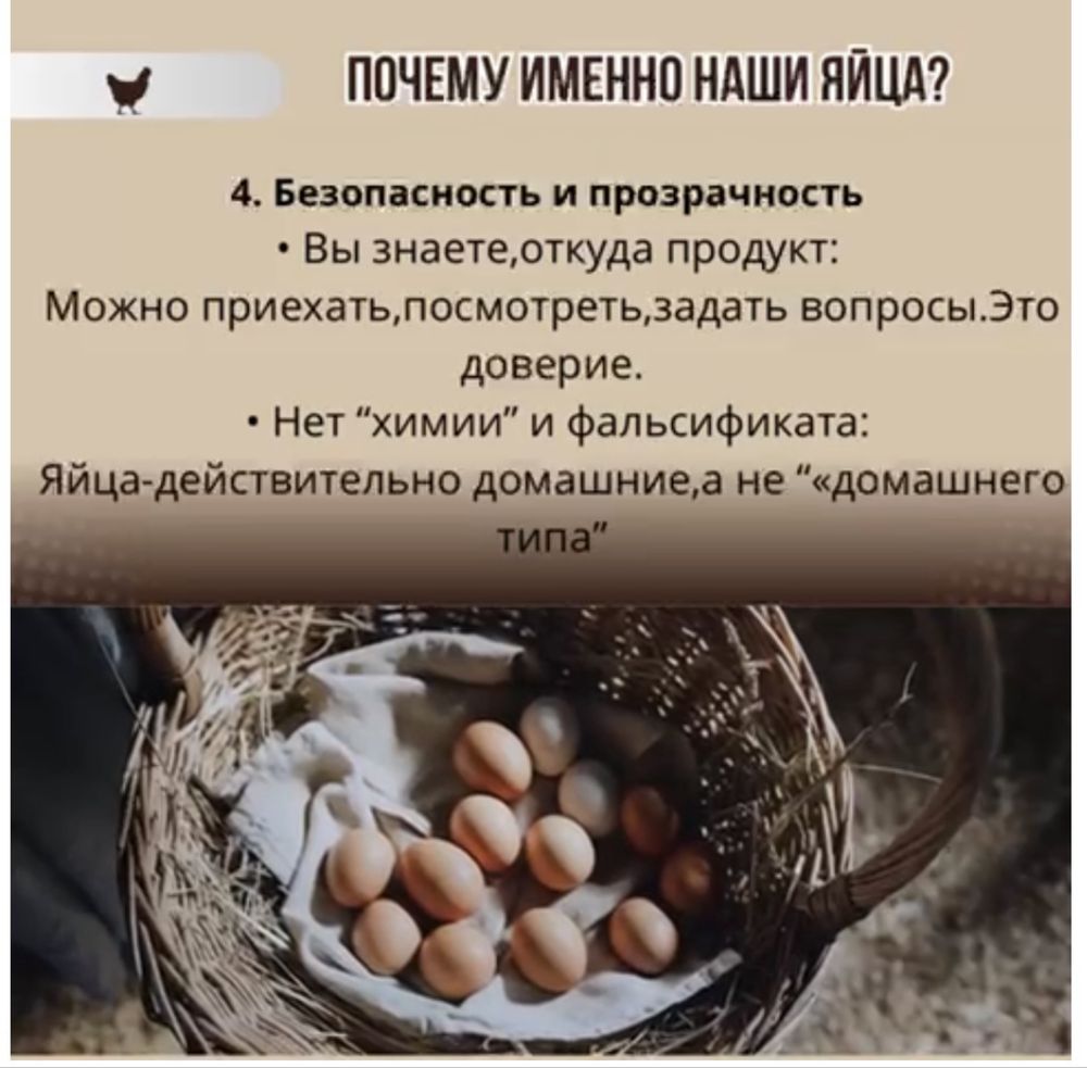 Домашние яйца халал