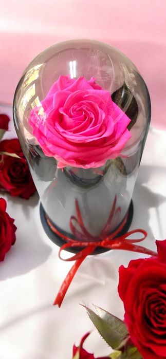 Trandafiri criogenati!