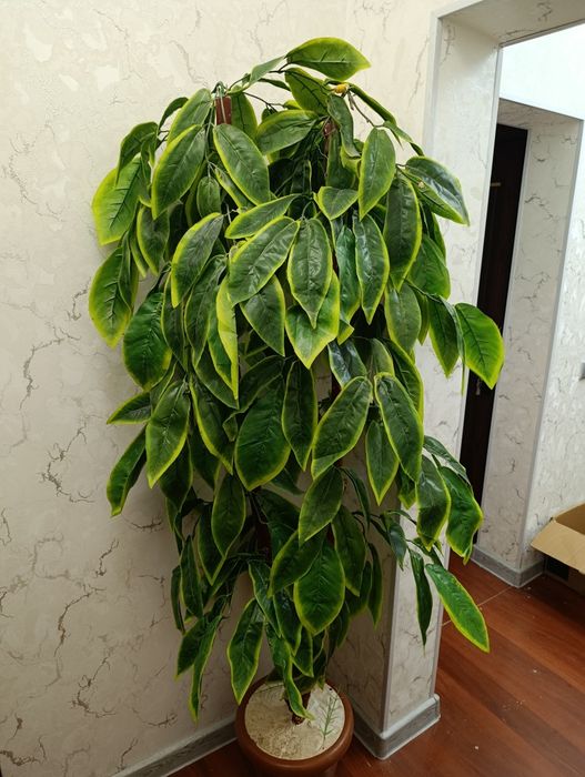 Искусственный Терек