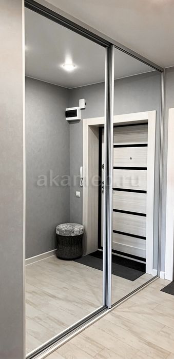 Дверцы от шкафа купе с зеркалом