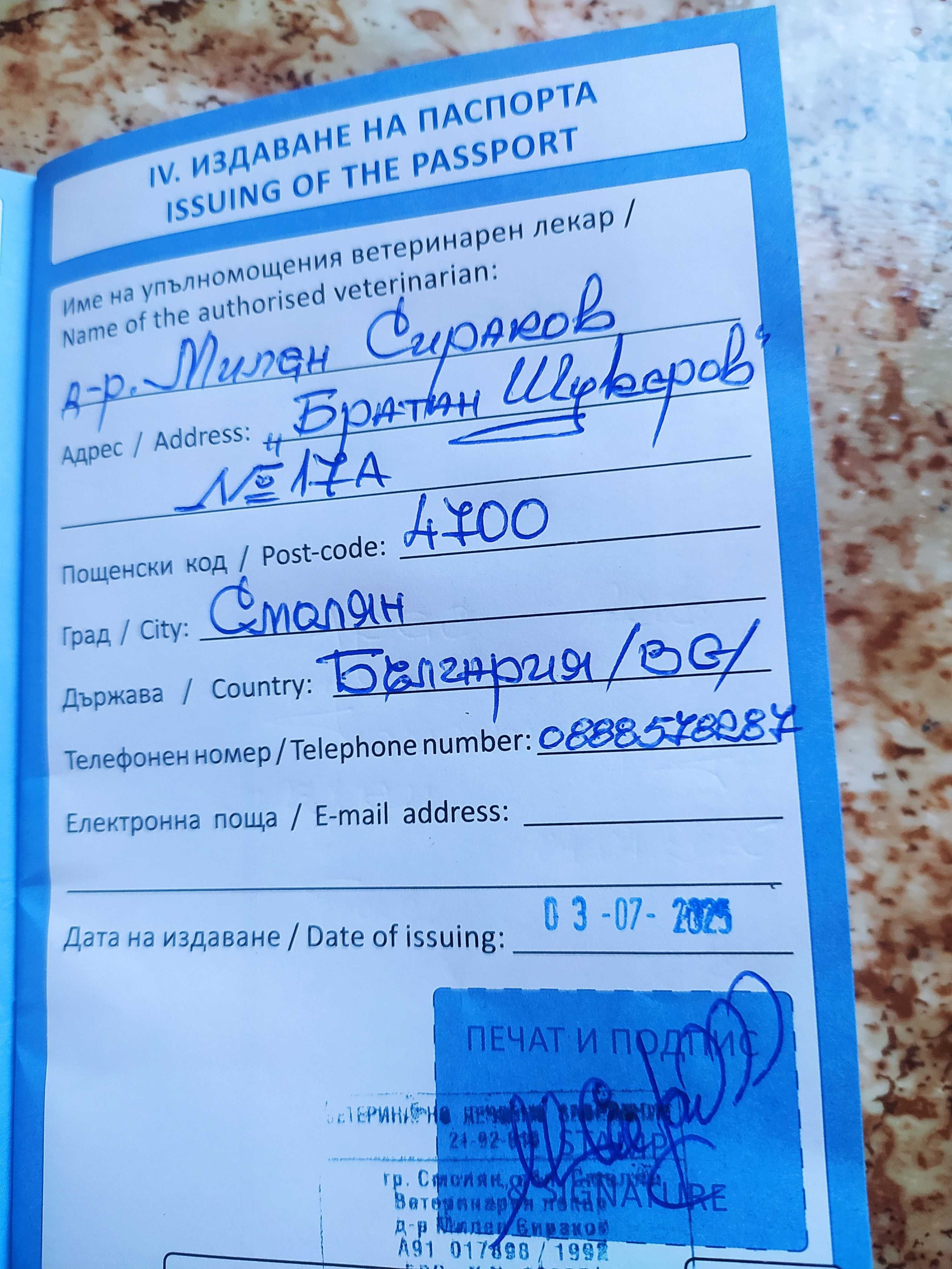 Среден немски шпиц