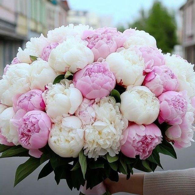 Biogumus Биогумус 2500 1kg