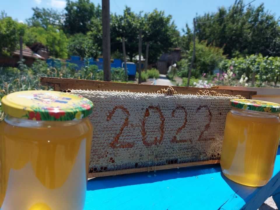 Пчелен мед реколта 2022 - 6лв