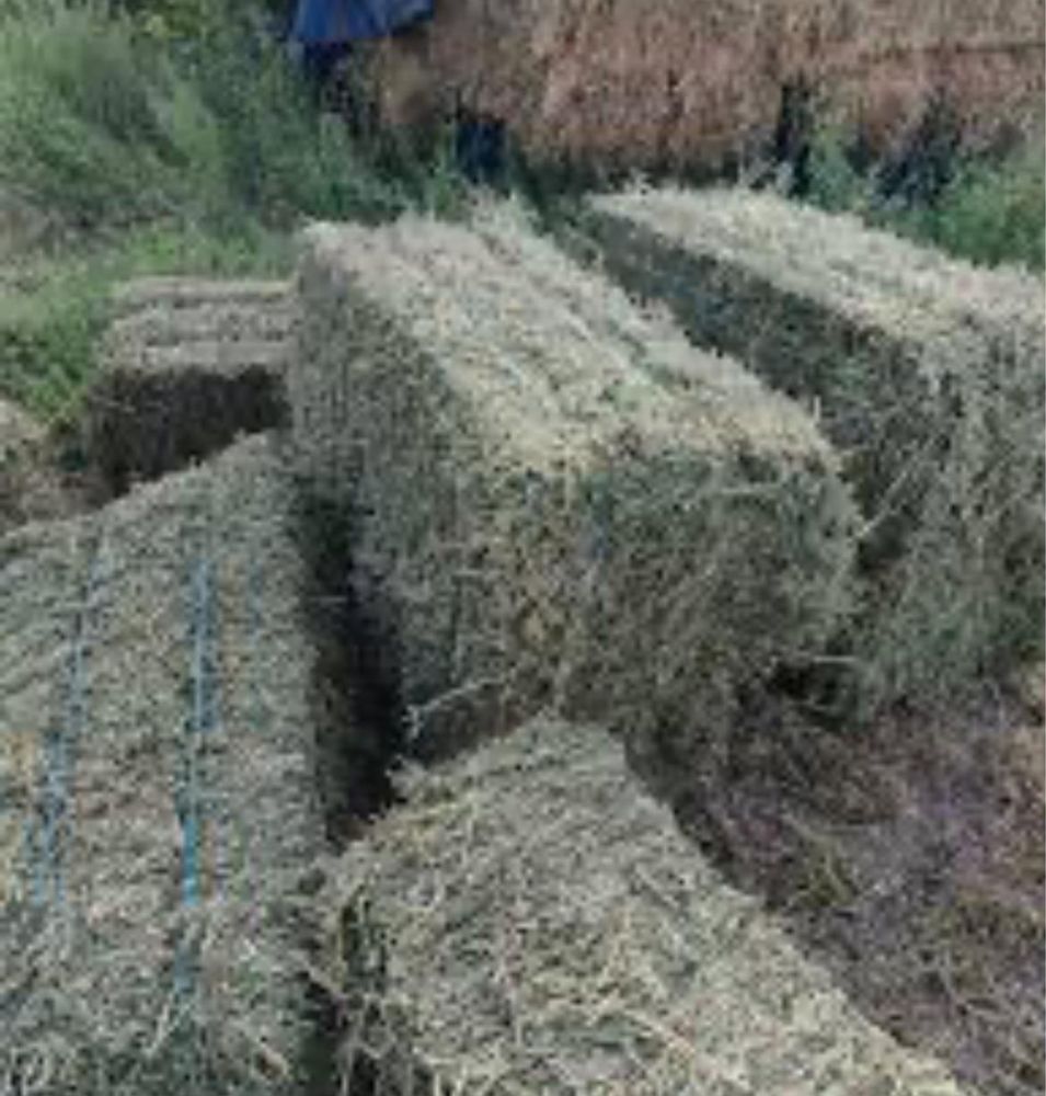 Baloți de vânzare