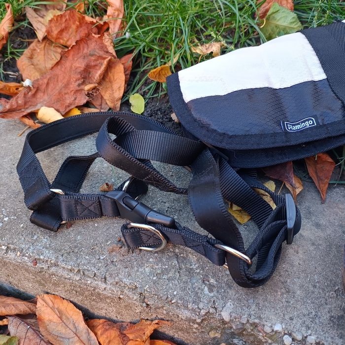 Pachet cusca transport, haine caine talie mica si ham