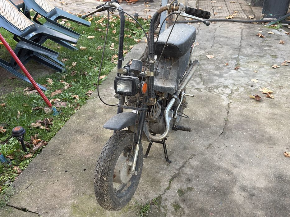 Карпати 50 перфектно